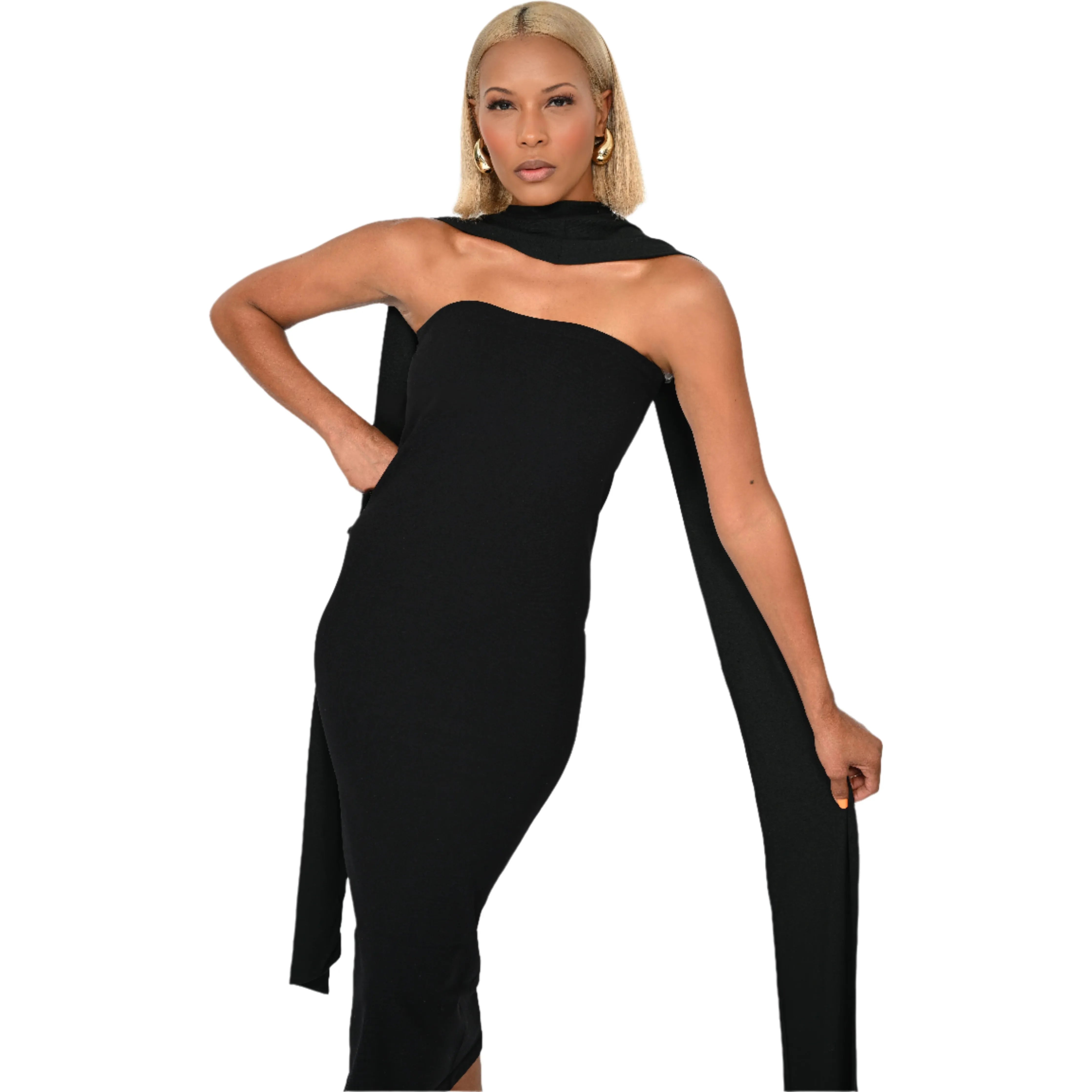 Strapless Midi Bodycon Dress/Skirt